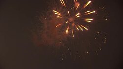Fireworks explode in a night sky. Stock Footage