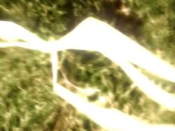 lightning background Stock Footage