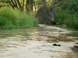 Lone Pine Creek water runs around a bend Stock Footage