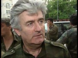 Bosnia - Karadzic Demands Viable Serb State News Clip