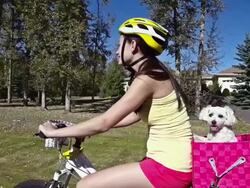Young girl riding bicycle with pet dog Stock Footage