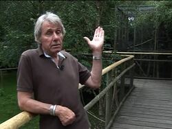 Saving the UK's rare red squirrel News Clip