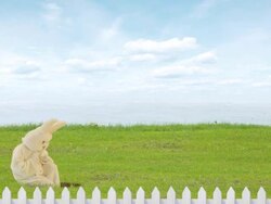 Happy Easter Rabbit Stock Footage