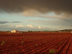 Spanish field Stock Footage