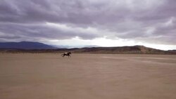 (Drone) Woman Riding Horses in the Desert 04 Stock Footage