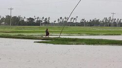 VOICED : Prospera mercado negro de organos en Bangladesh News Clip