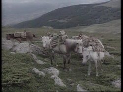 KOSOVO BORDER: ARMS SMUGGLERS CLASH WITH YUGOSLAV TROOPS News Clip