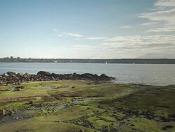 WS, Canada, British Columbia, Vancouver, Stanley Park, Green seashore Stock Footage