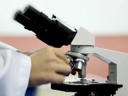 Scientist looks into microscope|HD Stock Footage