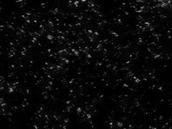 TwinkleLoop Stock Footage