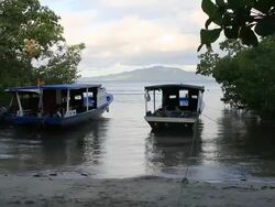 Boats at Anchor Stock Footage