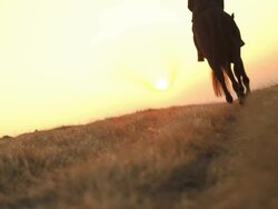 HD: Riding Through Meadow At Sunset Stock Footage