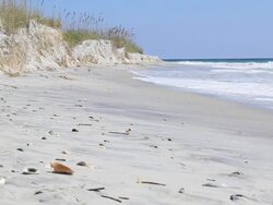 Shell beach Stock Footage