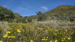 Mauna Kea Landscape Stock Footage
