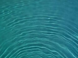 Ripples in the Pool Stock Footage