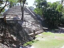 MS Shot of copan surrounding by trees / Copan, Honduras Stock Footage
