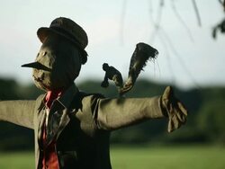 Views Of British Farming Stock Footage