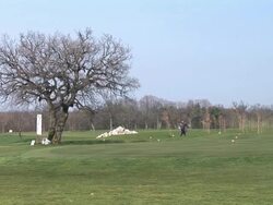 HD: On The Golf Course Stock Footage