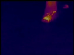 Thermographic image, CU feet walking into frame to camera, leaving thermal footprints, identical shots with info bar on DB 302 Stock Footage