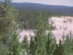 Norris Geysers Stock Footage