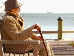 Norm Contemplates Life Stock Footage