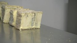 Blue Cheese maker News Clip