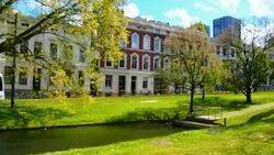 City Life at Rotterdam, Netherland Stock Footage