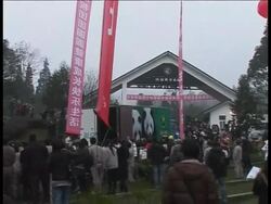 A pair of giant pandas arrived in Taiwan on Tuesday as a gift from rival China, another symbolic step forward in the two sides' rapidly improving relations. News Clip