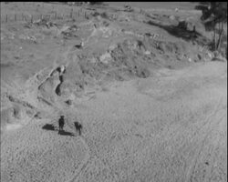 DISASTER ON A SUMMER'S DAY News Clip