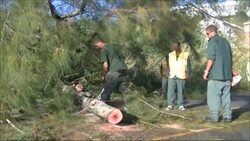 Crews cleared away downed trees and power lines Saturday after Hurricane Gonzalo battered this tiny, wealthy British territory for several hours but caused no deaths or serious injuries. (Oct. 18) News Clip