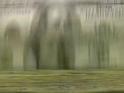 Cash money counting machine. Dollar bills counter. Stock Footage