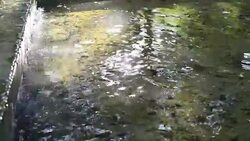 Waterfall Stock Footage