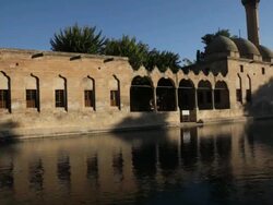 Fish Lake (Balikli Gol), Sanliurfa, Turkey Stock Footage
