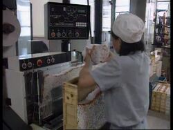 China - WHO's 10th World Conference on Tobacco News Clip