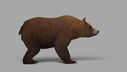 Bear Attack with Alpha Channel (Loopable) Stock Footage