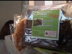 Federal drug agents won't pursue pot-smoking patients or their sanctioned suppliers in states that allow medical marijuana, under new legal guidelines to be issued Monday by the Obama administration. News Clip