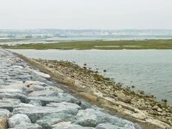 bulwark and the outgoing tide. Stock Footage