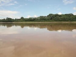 Illegal Gold Mining In Madre De Dios, Peru Stock Footage