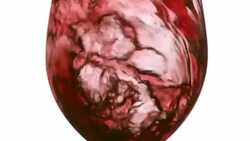 Slow motion zooming in to the pouring red wine on white background Stock Footage