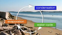 Way Cool Science II: All About Weather Instructional Video