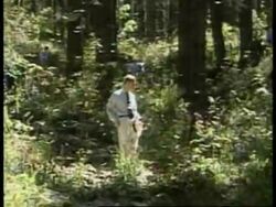 Charles ends tour with visit to butterfly sanctuary News Clip