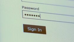 Password Stock Footage