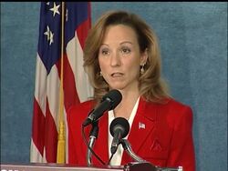 White House Homeland Security Adviser Frances Townsend says the government has made progress in implementing President Bush's strategy in preparing for a pandemic flu outbreak. News Clip