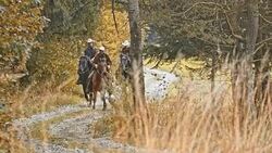 SLO MO Herdsmen and herdswoman on galloping horses in countryside Stock Footage