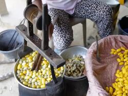 Boiling silkworm cocoon Stock Footage