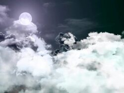 high sky birds flying moon HD Stock Footage