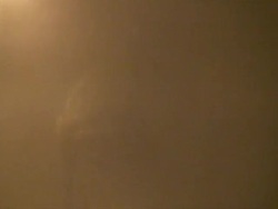 Zoom out palm trees extreme hurricane winds; Typhoon Sinlaku, Taiwan 13th September 2008 (With Audio) Stock Footage