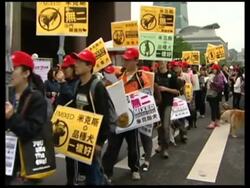 Pet owners and their pets join parade to promote animal welfare News Clip