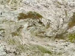ORGANIC MATTER : close-up, vortex (LOOP) Stock Footage