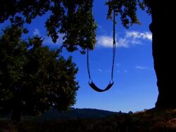 Swing hanging from giant oak tree Stock Footage
